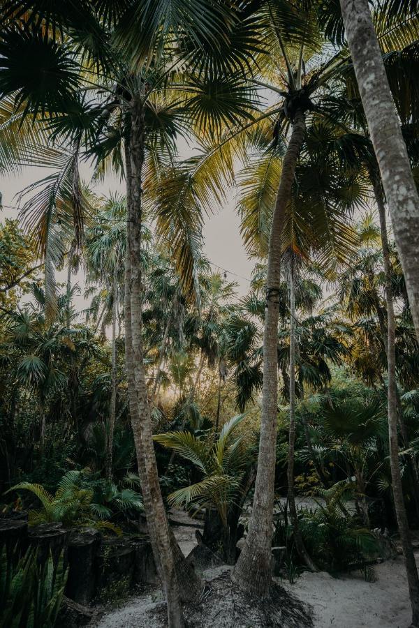 Ether Tulum Bagian luar foto